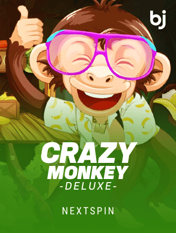 Crazy Monkey Deluxe game icon